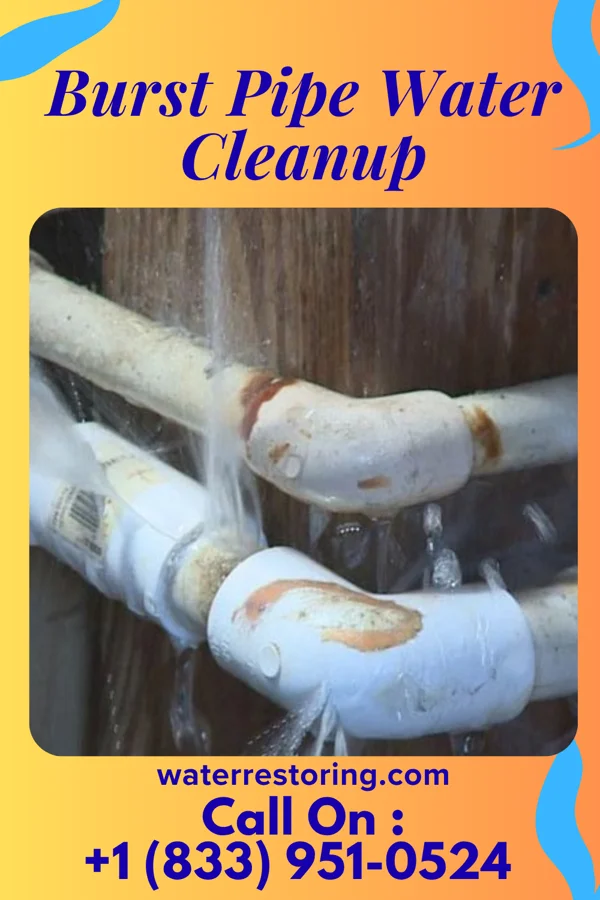 Burst Pipe Water Cleanup in Brookville, OH