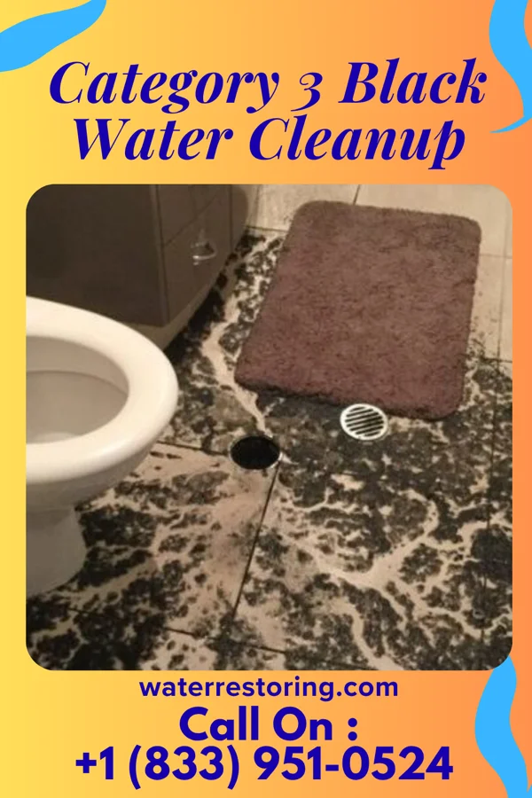 Category 3 Black Water Cleanup in Brookville, OH