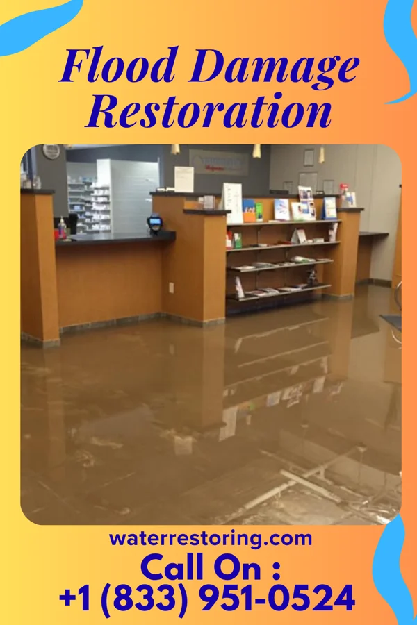 Flood Damage Restoration in Brookville, OH