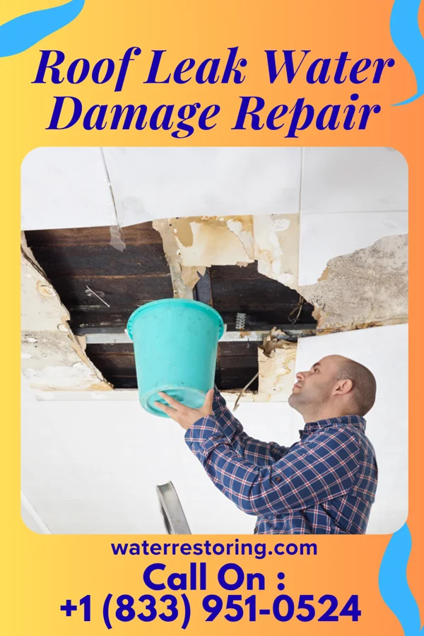 Roof Leak Water Damage Repair in Brookville, OH