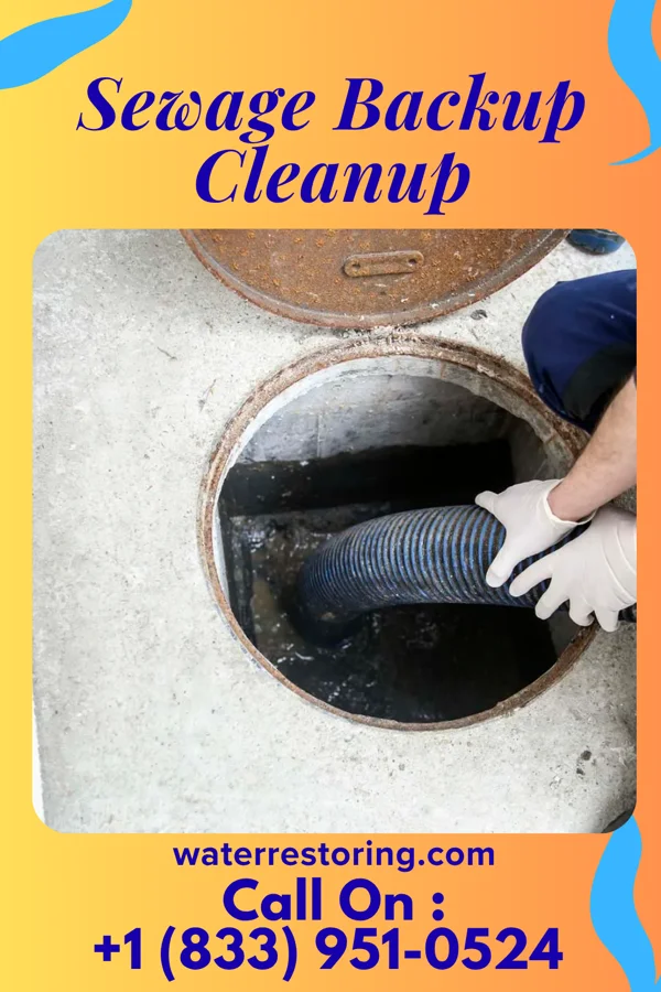 Sewage Backup Cleanup in Brookville, OH