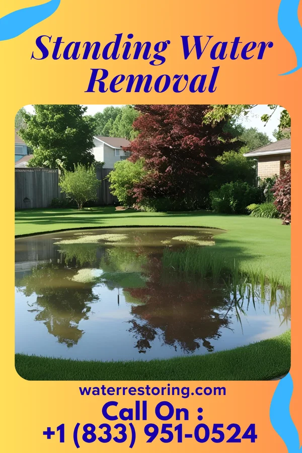 Standing Water Removal in Brookville, OH